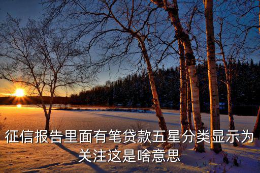 征信報(bào)告里面有筆貸款五星分類(lèi)顯示為關(guān)注這是啥意思