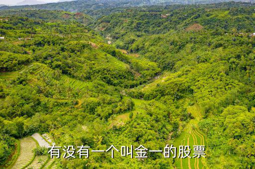 金一文化為什么停牌，金一文化什么時(shí)候復(fù)牌