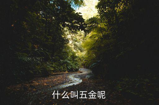 什么叫一市五金多套餐，知不知道招聘里說(shuō)的 五金齊全是指什么