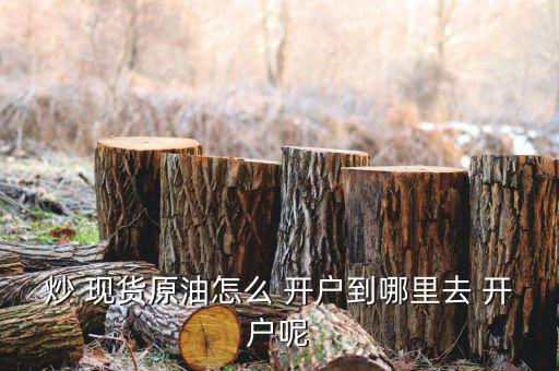 炒 現貨原油怎么 開戶到哪里去 開戶呢