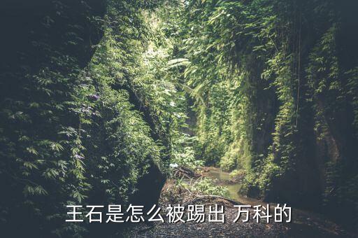 萬(wàn)科怎么回事,王石離職為萬(wàn)科埋下伏筆