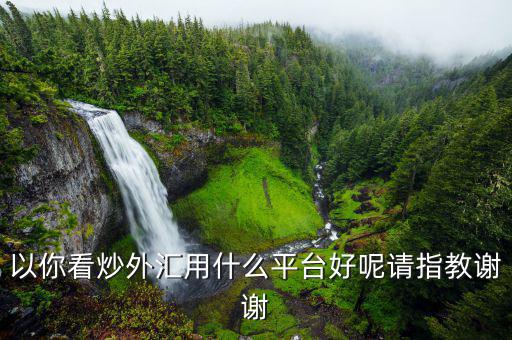炒美元什么平臺，以你看炒外匯用什么平臺好呢請指教謝謝
