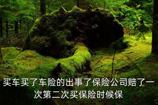 車(chē)險(xiǎn)ncd系數(shù)是什么，車(chē)險(xiǎn)ACD系數(shù)是什么