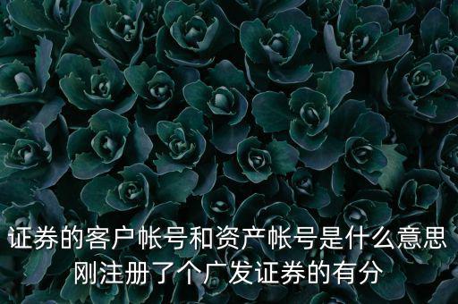 申萬(wàn)宏源資產(chǎn)賬號(hào)是什么，我知道瀘A股東的賬號(hào)怎么查資金賬號(hào)申萬(wàn)宏源