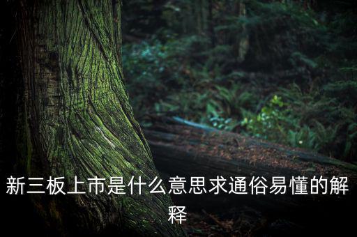什么是新三板上市，新三板上市是什么意思求通俗易懂的解釋