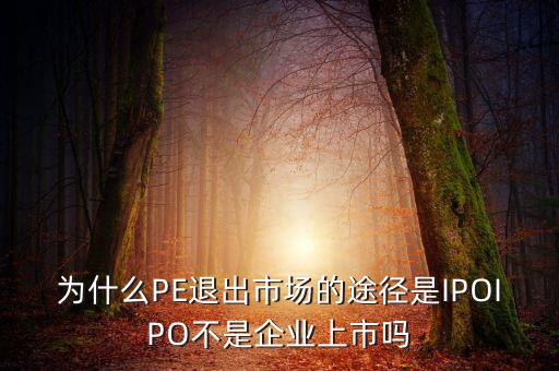 pe為什么要退出，為什么PE退出市場的途徑是IPOIPO不是企業(yè)上市嗎