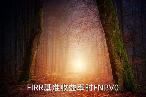 收益率什么時候為正，F(xiàn)IRR基準收益率時FNPV0