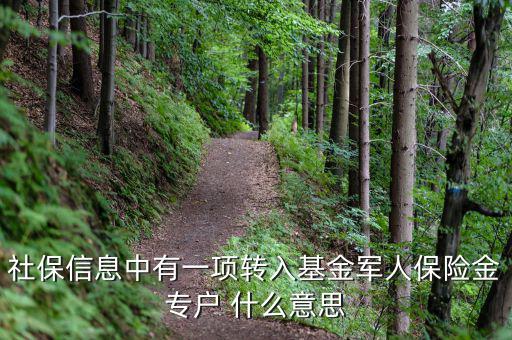 什么是社保轉(zhuǎn)入基金，請問一下社保綜合中轉(zhuǎn)入基金是什么呢不明白里面的基金是怎么回事