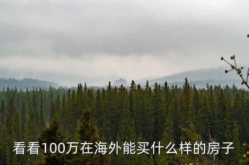 看看100萬(wàn)在海外能買什么樣的房子