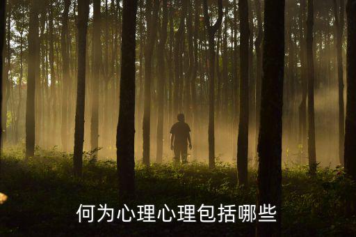 什么是心理層面，人的心理境界分幾個(gè)層次