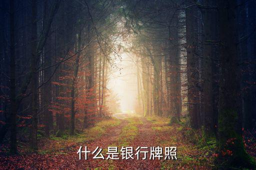 銀行牌照是什么，什么是銀行牌照