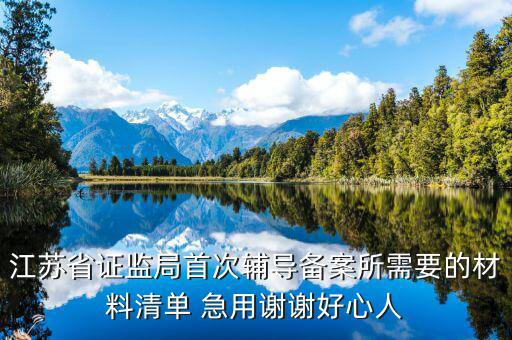 輔導(dǎo)備案登記受理是什么階段，我想問一下辦一般納稅人申請后我們的輔導(dǎo)期是當月 15小