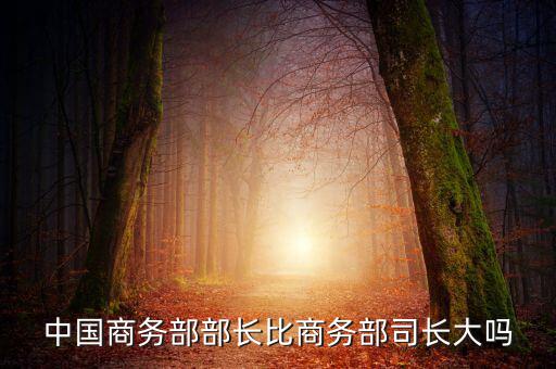 商務(wù)部部長什么級別，商務(wù)部部長多大的官