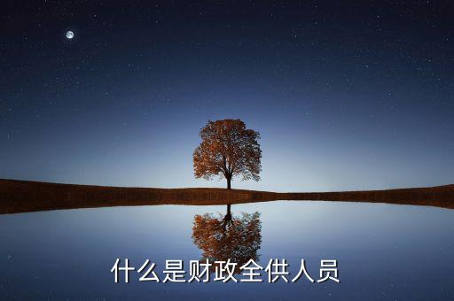 什么是財政全供人員