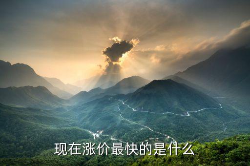 什么漲價快，大家猜猜看 什么東西會漲價的很快