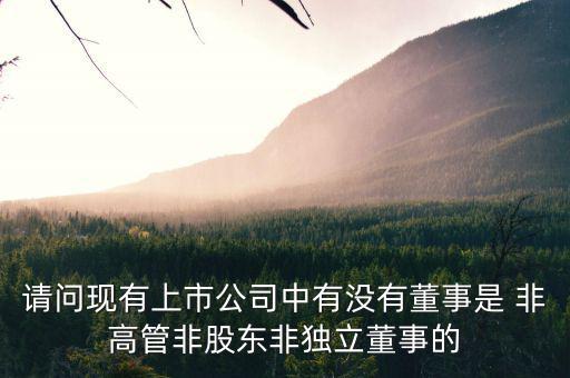 什么是非獨(dú)立董事，什么叫執(zhí)行董事非執(zhí)行董事和獨(dú)立非執(zhí)行董事