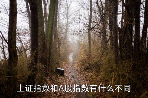 上證指數(shù)和A股什么區(qū)別，上證指數(shù)和A股指數(shù)有什么不同