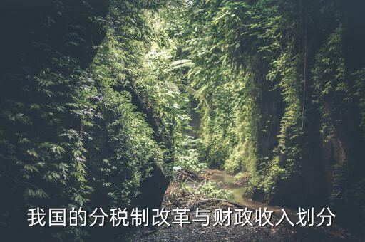 中國財政為什么會分權(quán)，西方的財政分權(quán)理論是否適合中國為什么