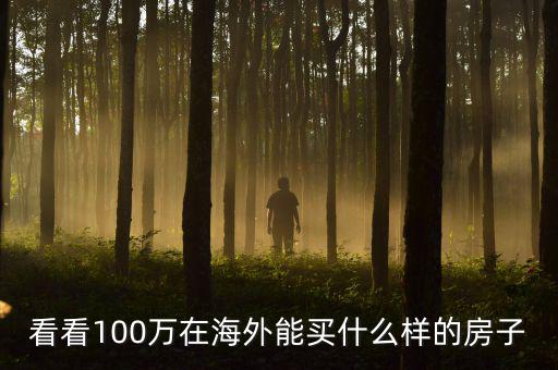 100萬在國外能買什么，看看100萬在海外能買什么樣的房子