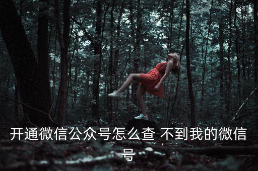 開(kāi)通微信公眾號(hào)怎么查 不到我的微信號(hào)