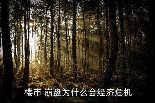  樓市 崩盤為什么會(huì)經(jīng)濟(jì)危機(jī)