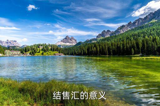 為什么外匯結(jié)匯，結(jié)售匯的意義