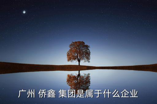廣州 僑鑫 集團(tuán)是屬于什么企業(yè)