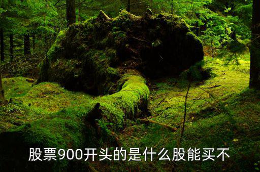 900906什么股，9開頭的是什么股A股帳戶可以買嗎