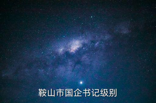 鞍山市國企書記級別