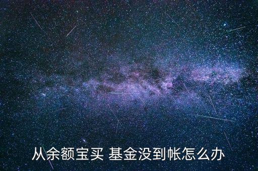 買基金錢怎么沒(méi)了,建議你開一張建行卡開通網(wǎng)上銀行購(gòu)買基金
