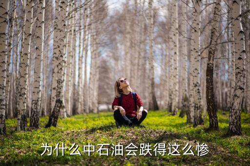 中石油上市為什么狂跌，為什么中石油會(huì)跌得這么慘