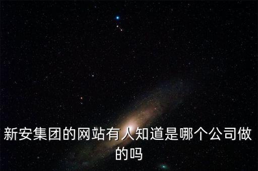 新安股份做什么的，新安集團的網(wǎng)站有人知道是哪個公司做的嗎