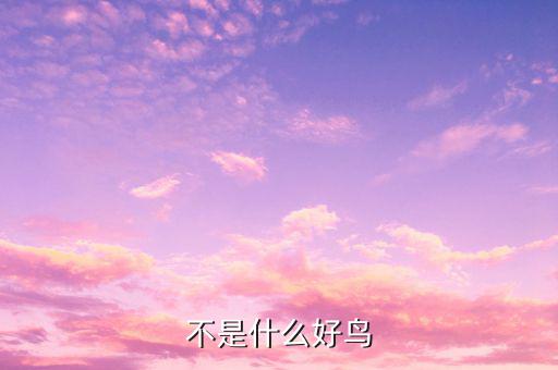 孟兵不是什么好鳥，不是什么好鳥