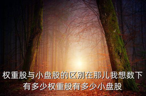 權(quán)重股與小盤(pán)股的區(qū)別在那兒我想數(shù)下有多少權(quán)重股有多少小盤(pán)股