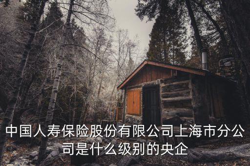 市屬國企是什么級別，省屬和市屬企業(yè)的界定標準是什么