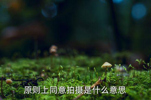 原則上同意是什么意思，原則上同意是什么意思