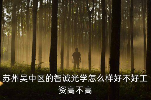 智誠光學(xué)里面主要生產(chǎn)什么，蘇州智誠光學(xué)公司怎么樣
