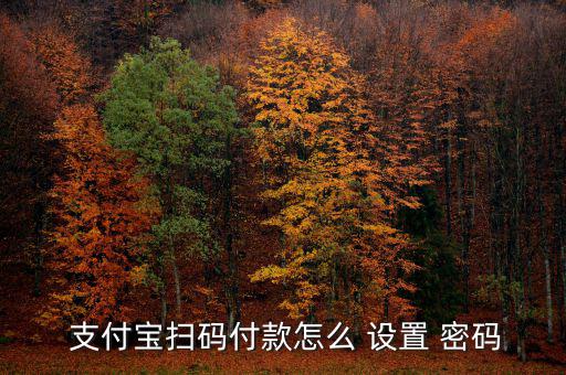  支付寶掃碼付款怎么 設(shè)置 密碼