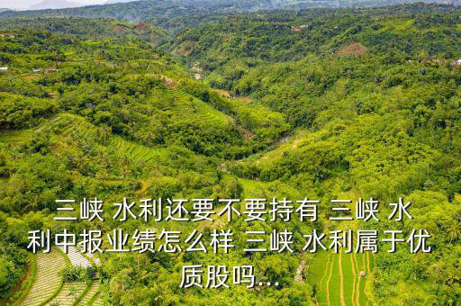 萬(wàn)州三峽水利電力收入怎么樣,周五開始分析三峽水利股!