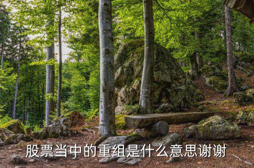 什么是重組，重組在電腦術(shù)語中什么意思