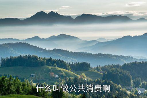什么是公共消費，什么叫做公共消費啊