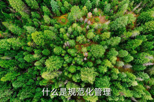 什么是定制化管理，什么是制化管理