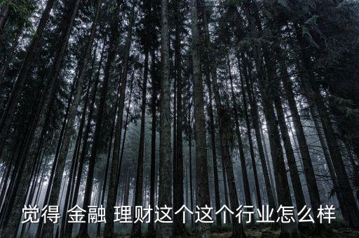 金融理財(cái)行業(yè)怎么樣