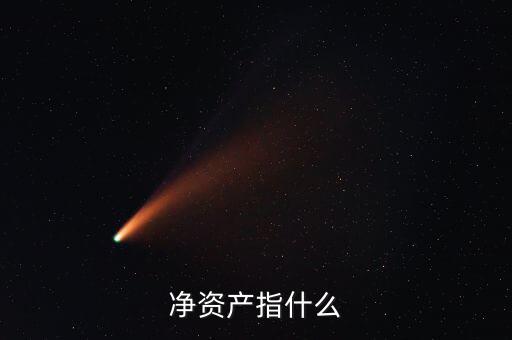 凈資產(chǎn)是什么意思，凈資產(chǎn)指什么