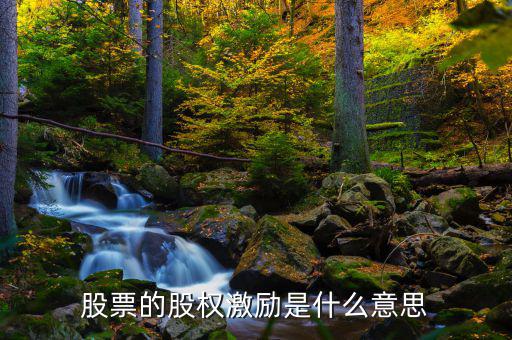 股票的股權激勵是什么意思