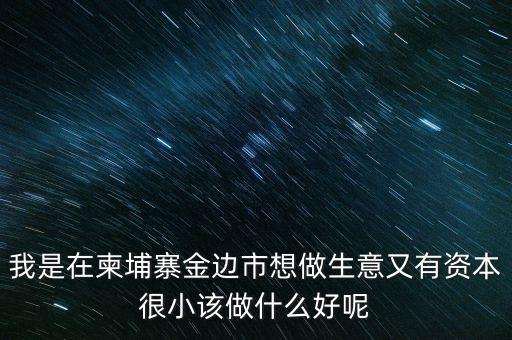 柬埔寨投資100萬元能干什么，我是在柬埔寨金邊市想做生意又有資本很小該做什么好呢