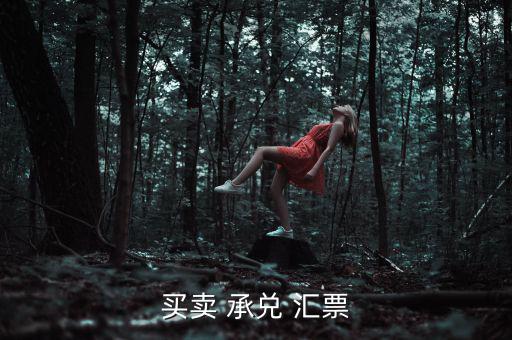 買賣 承兌 匯票