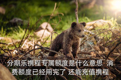 分期樂消費(fèi)額度是什么意思，分期樂免息額度是什么意思