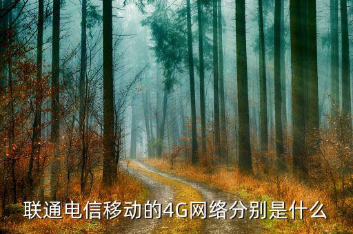 聯(lián)通混合組網(wǎng)什么意思，為什么我的聯(lián)通卡顯示H是什么意思