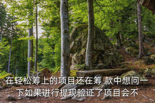 輕松籌提現有什么審核，輕松籌審核條件